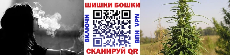 Канабис сатива  Бологое 